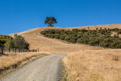 Shakespear Regional Park (Te Hāruhi), photo 2