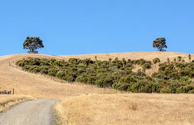 Shakespear Regional Park (Te Hāruhi), photo 4
