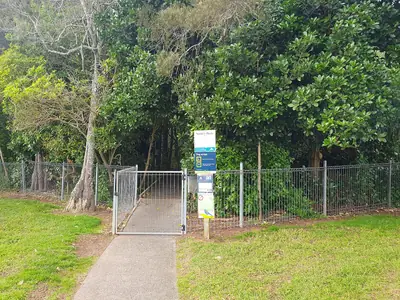 Smiths Bush (Te Rangi Hiroa), photo 4