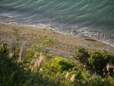 St Heliers Bay Beach, photo 2