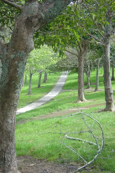 Sunnynook Park, photo 3