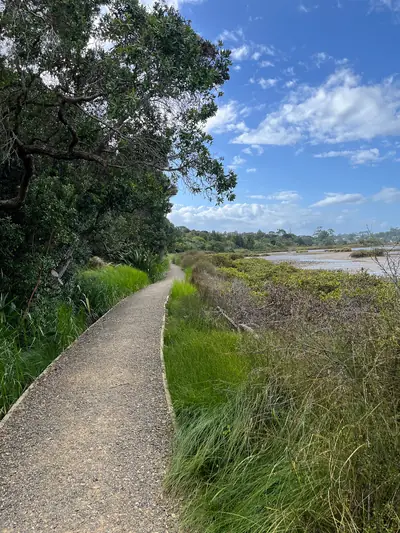 Tāhuna Torea Nature Reserve, photo 3