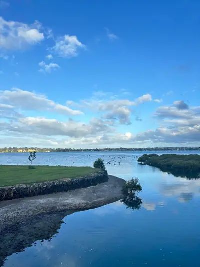 Tāhuna Torea Nature Reserve, photo 4