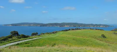 Tāwharanui Regional Park, photo 4