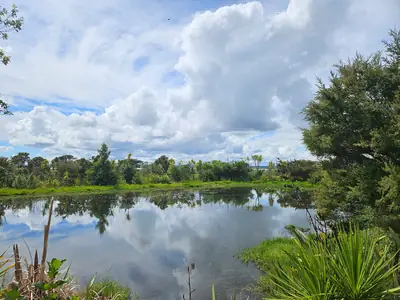 Te Atatū Peninsula Park, photo 4