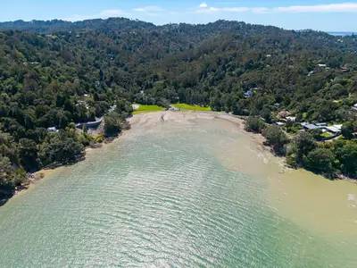 Titirangi Beach Reserve, photo 3