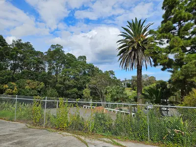 Tui Glen Reserve, photo 2