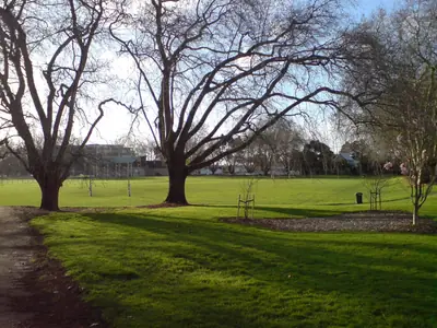 Victoria Park in Freemans Bay