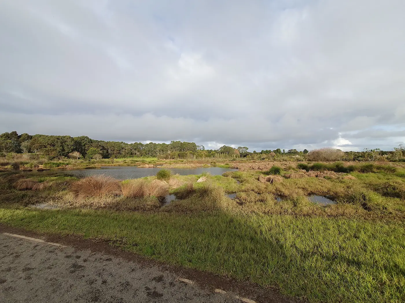 Waiatarua Reserve in Remuera