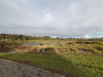 Waiatarua Reserve in Remuera