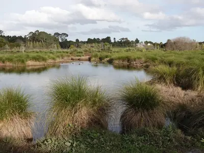 Waiatarua Reserve, photo 2