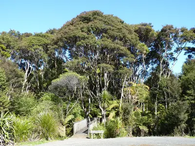 Waitākere Ranges Regional Park in Waitākere