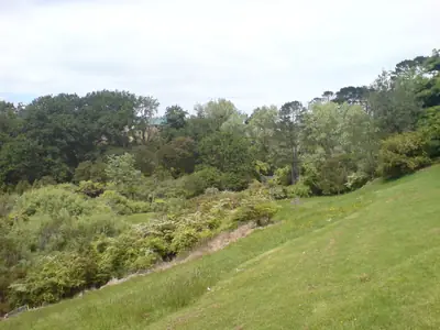 Waterview Reserve in Waterview