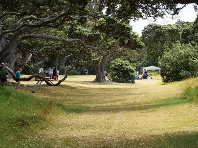Wenderholm Regional Park (Maungatauhoro), photo 3
