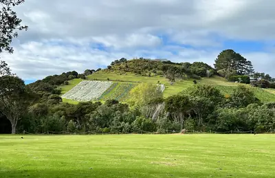 Whakanewha Regional Park, photo 2