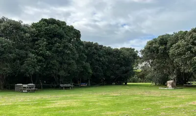 Whakanewha Regional Park, photo 3
