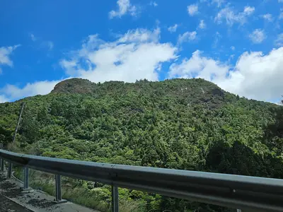 Whatipū, photo 2