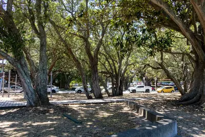 Windsor Reserve, photo 2